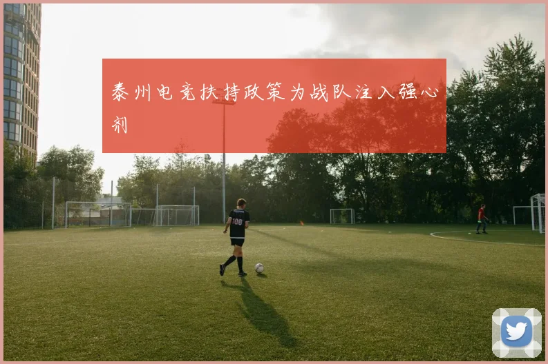 泰州电竞扶持政策为战队注入强心剂