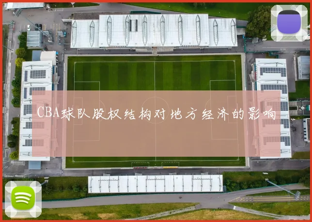 CBA球队股权结构对地方经济的影响